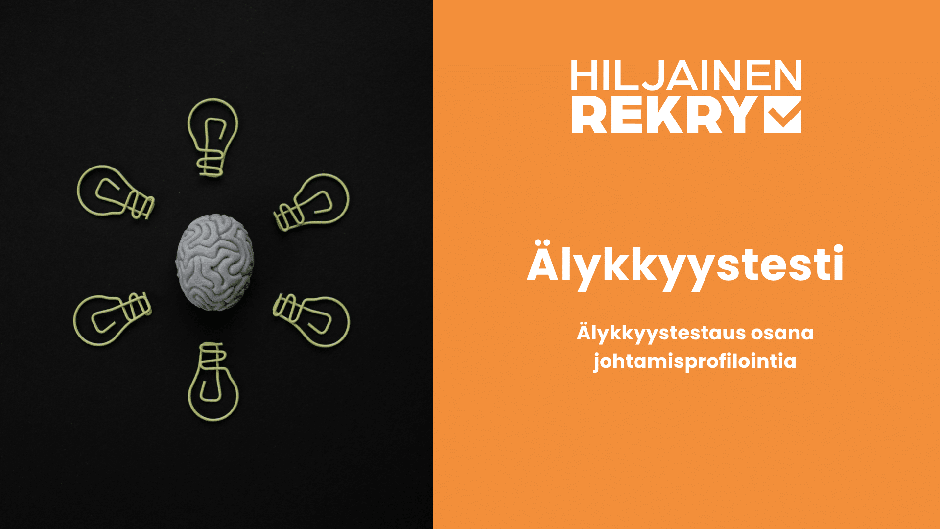 Suojattu: Älykkyystestin pilotti